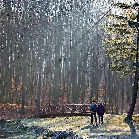 Galcsik Salgótarján